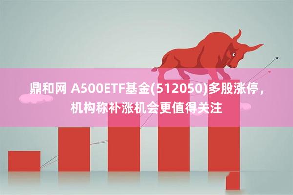 鼎和网 A500ETF基金(512050)多股涨停，机构称补涨机会更值得关注